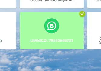 Successfull connection