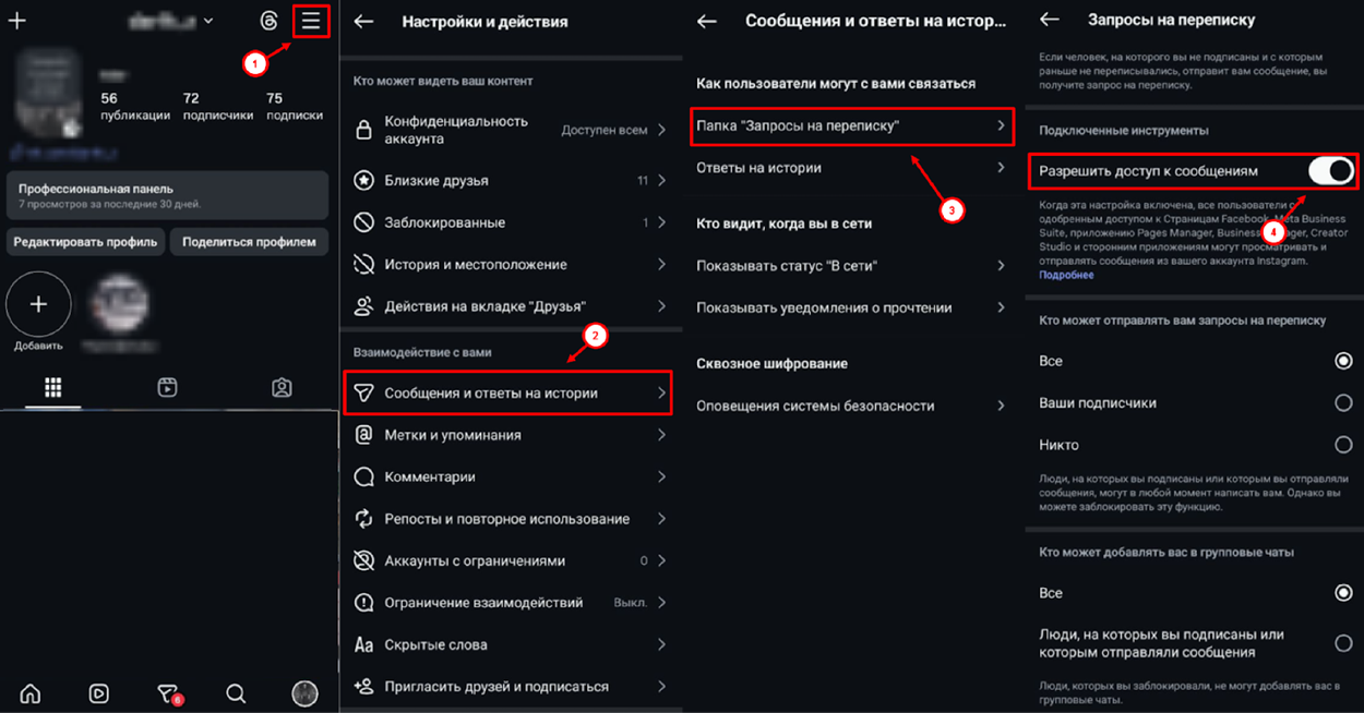 Instagram messages access