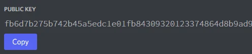 Exemplo de chave pública no Discord