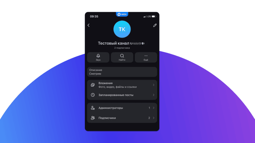 Настройка частного канала в Max