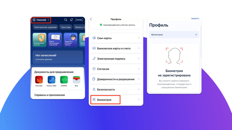 Проверка наличия биометрии в Госуслугах