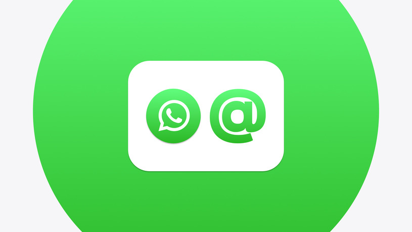 WhatsApp Usernames for business | Guide by Umnico