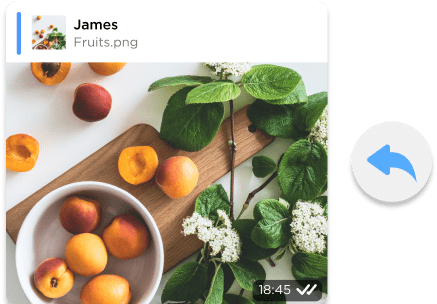 Message forwarding in Umnico Inbox