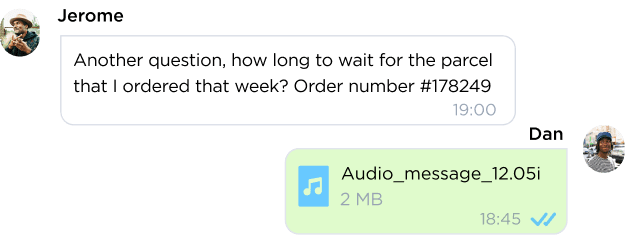 Chat records in Umnico