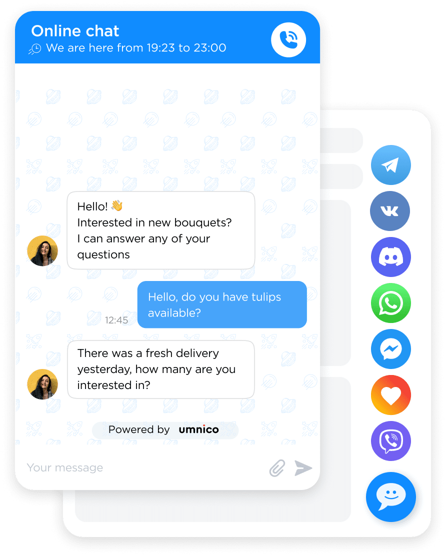 Live chat widget window sample