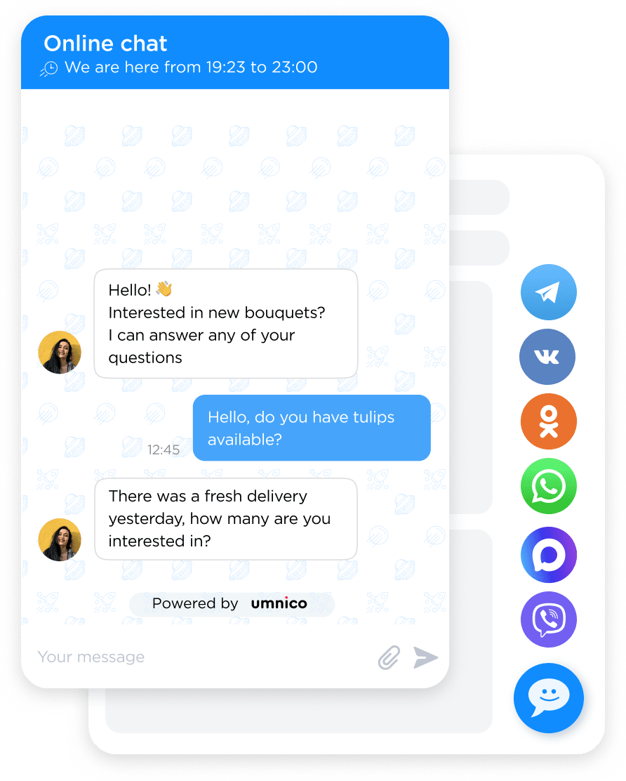 Live chat widget window sample