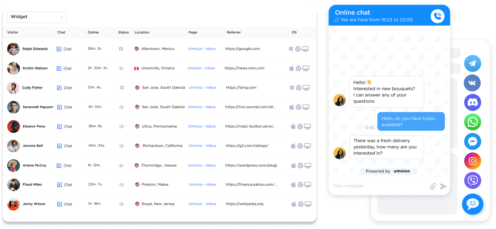 Free live chat software for website with traffic insights in Umnico